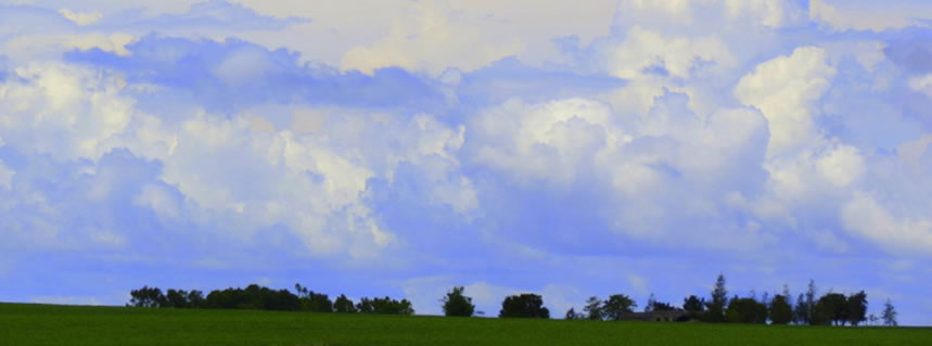 Decepción en la mente