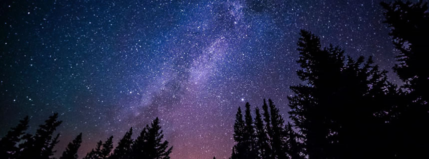 ¡Jesús vino y volverá!