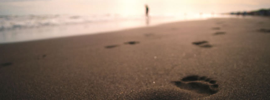 COMPAÑERO DE POR VIDA